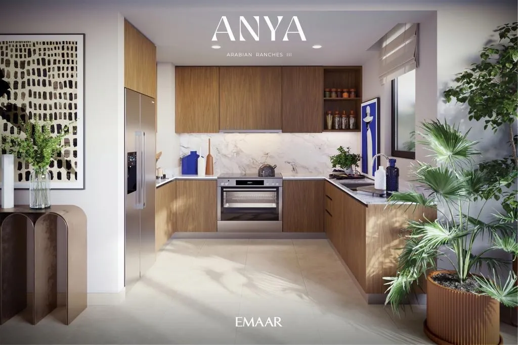 ANYA Townhouses — кухня